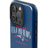 NFL 2016 Super Bowl LI Champions New England Patriots iPhone 16 Pro Impact Case