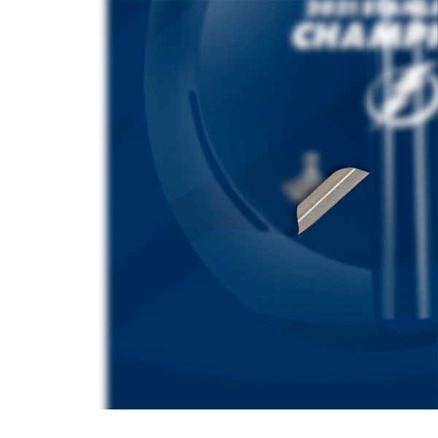 NHL 2021 Stanley Cup Champions Tampa Bay Lightning Bose Noise Cancelling Headphones 700 Skin