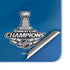 NHL 2021 Stanley Cup Champions Tampa Bay Lightning Moto G Play 4G (2024) Skin