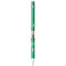 2024 NBA Champions Boston Celtics Apple Pencil (1st Gen, 2017) Skin