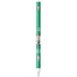 2024 NBA Champions Boston Celtics Apple Pencil (1st Gen, 2017) Skin
