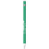 2024 NBA Champions Boston Celtics Apple Pencil (1st Gen, 2017) Skin