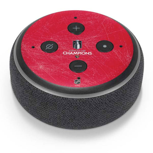 NHL 2024 Stanley Cup Champions Panthers Amazon Echo Dot Skin