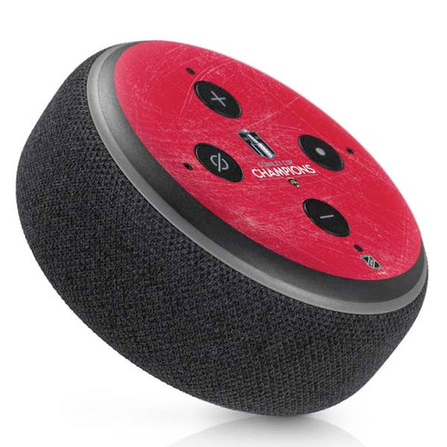 NHL 2024 Stanley Cup Champions Panthers Amazon Echo Dot Skin