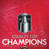 NHL 2024 Stanley Cup Champions Panthers Moto G6 Skin
