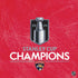 NHL 2024 Stanley Cup Champions Panthers PS4 Console Skin