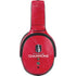 NHL 2024 Stanley Cup Champions Panthers Skullcandy Venue Skin