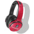 NHL 2024 Stanley Cup Champions Panthers Skullcandy Venue Skin