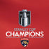 2025 Stanley Cup Champions Florida Panthers iPhone XS Skin
