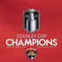 2025 Stanley Cup Champions Florida Panthers Otterbox Commuter Galaxy Skin