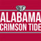 University of Alabama Crimson Tide Surface Go Skin