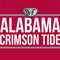 University of Alabama Crimson Tide Wii (Includes 1 Controller) Skin