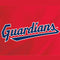 MLB Cleveland Guardians Alternate Road Jersey iPhone 14 Folio Case