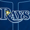 MLB Tampa Bay Rays Alternate/Away Jersey iPhone 14 Pro Folio Case