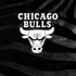 NBA Chicago Bulls Black Animal Print iPhone 15 Skin