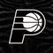 NBA Indiana Pacers Black Animal Print Amazon Echo Buds Skin