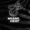 NBA Miami Heat Black Animal Print Amazon Echo Buds Skin