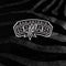 NBA San Antonio Spurs Black Animal Print Surface Book 2 15in Skin
