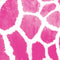 Pink Safari Animal Print Color Pop Galaxy A20 Clear Case