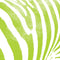 Citrus Zebra Animal Print Color Pop Surface Laptop 2 Skin
