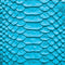 Lagoon Python Animal Print Color Pop Yeti 20oz Tumbler Skin