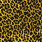 Golden Leopard Animal Print Color Pop Galaxy S23 Clear Case