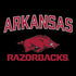 University of Arkansas-Fayetteville Razorbacks Black Steam Deck Handheld Gaming Computer Skin
