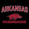 University of Arkansas-Fayetteville Razorbacks Black Wii (Includes 1 Controller) Skin