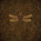 Steampunk & Gear Dragonfly by Brigid Ashwood Motorola RAZR Skin