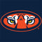Auburn University Tigers Mascot MacBook Air 13in (2020) Case plus Skin