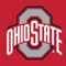 Ohio State University Buckeyes Red Logo iPhone 14 Pro Folio Case