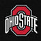 Ohio State University OSU Buckeyes Black PS5 Pro Bundle Skin