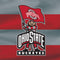 Ohio State University OSU Buckeyes Flag Wii (Includes 1 Controller) Skin