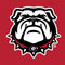 University of Georgia Bulldogs Logo Wii (Includes 1 Controller) Skin
