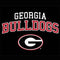 University of Georgia Bulldogs Apple Pencil (1st Gen, 2017) Skin
