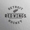 NHL Detroit Red Wings Black Text Apple AirPods Pro Skin