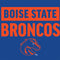 Boise State University Broncos Wii Remote Controller Skin