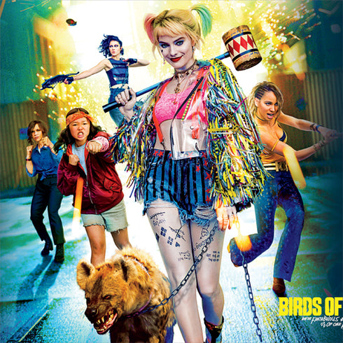 DC Comics Birds of Prey iPhone 13 Folio Case