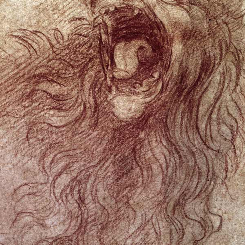 da Vinci - Sketch of a roaring lion by Da Vinci Surface Go Skin