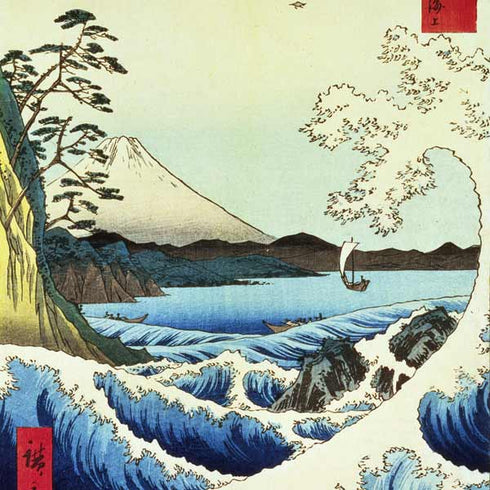 View from Satta Suruga Province by Hiroshige Wii (Includes 1 Controller) Skin