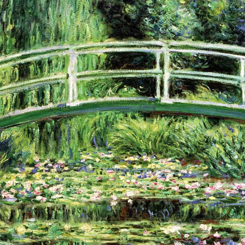 White Waterlilies, 1899 by Monet Motorola RAZR Skin