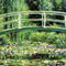 White Waterlilies, 1899 by Monet Motorola RAZR Skin