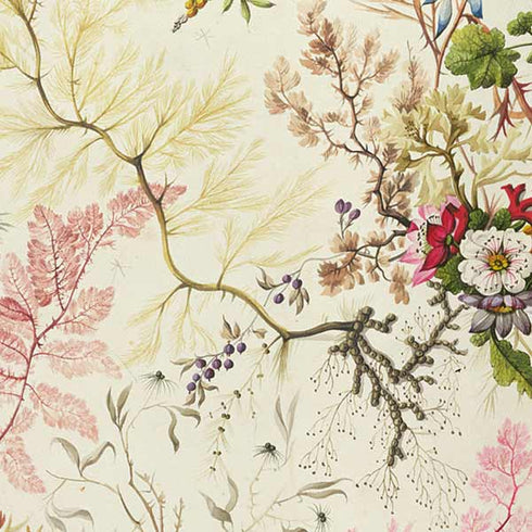 Seaweed on Silk Paper by William Kilburn Nintendo Switch Lite Skin