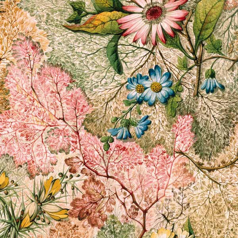 Marbled Paper by William Kilburn Google Pixelbook Go Skin