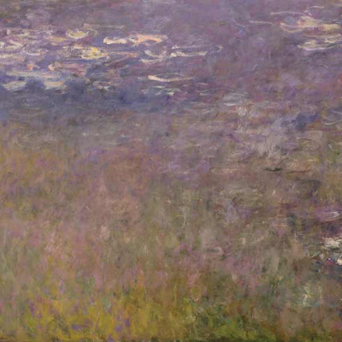 Water Lilies by Claude Monet Galaxy A50 Clear Case