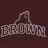 Brown University Outlined iPhone 15 Skin