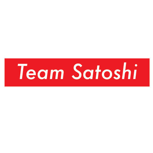 Team Satoshi iPhone 13 Pro Max Folio Case