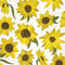 Sunflower Acrylic by Cat Coq Amazon Echo Buds Skin
