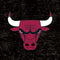 NBA Chicago Bulls Black Distressed Amazon Echo Buds Skin