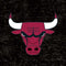 NBA Chicago Bulls Black Distressed Beats Solo Pro Skin
